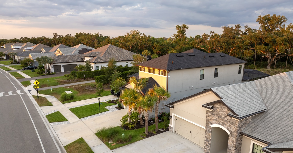 suburban street with homes and palm trees