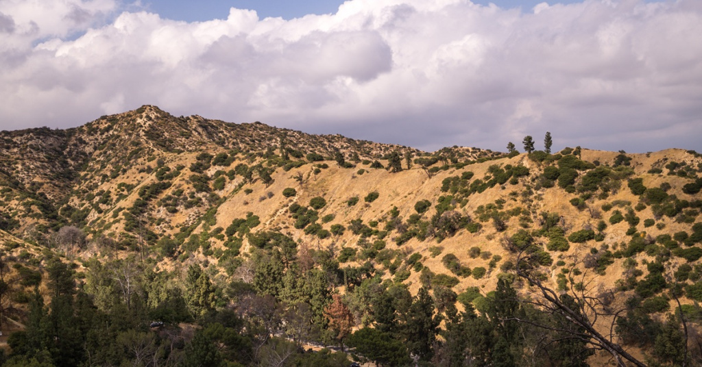 hills with plants underneath clouds
