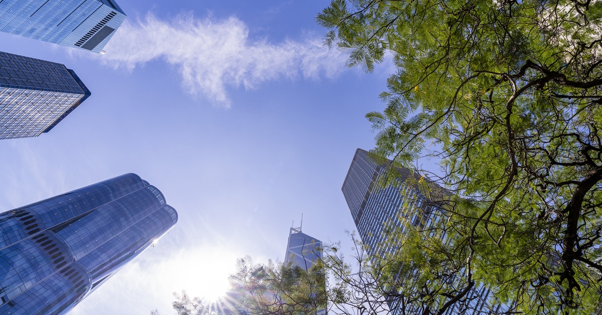 modern skyscrapers alongside trees in clear blue sky