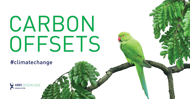 20211004_ESG_Carbon-Offsets-Explained_Image-min
