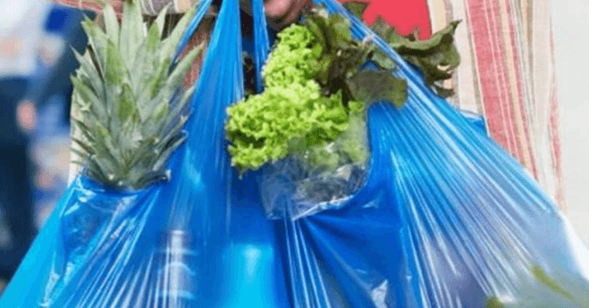 31_PlasticBagsADangerous_1-3-659x
