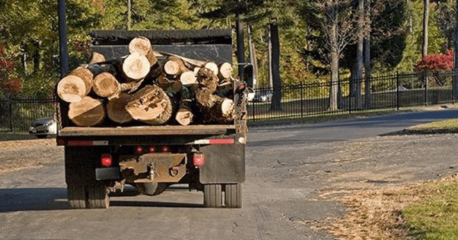 Policies to End Deforestation and Climate Change in Business Supply Chains Banner Image