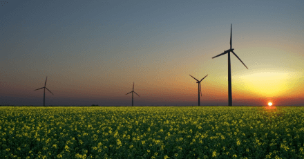 alternative_energies-resized-600-thumb