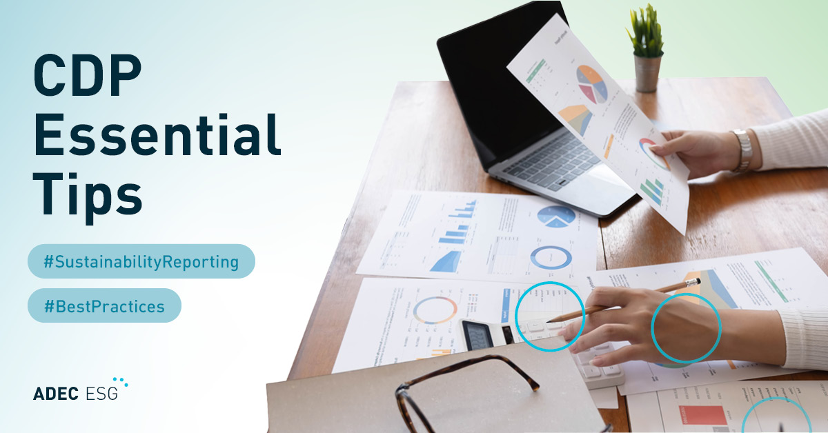7 Essential Tips for CDP Disclosure